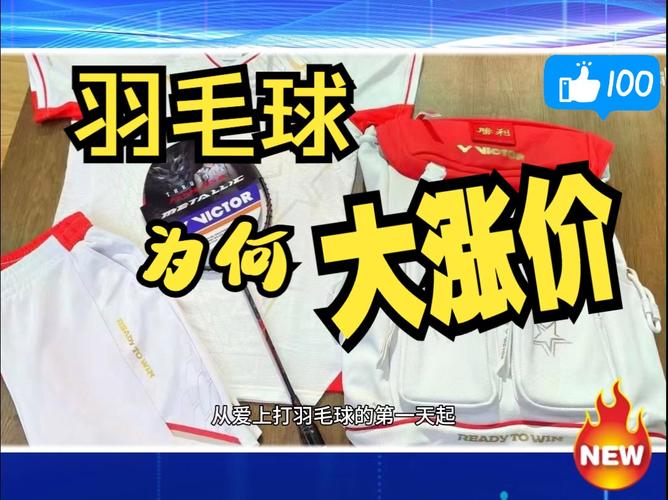 为什么羽毛球是16根羽毛？这背后隐藏着什么玄机？