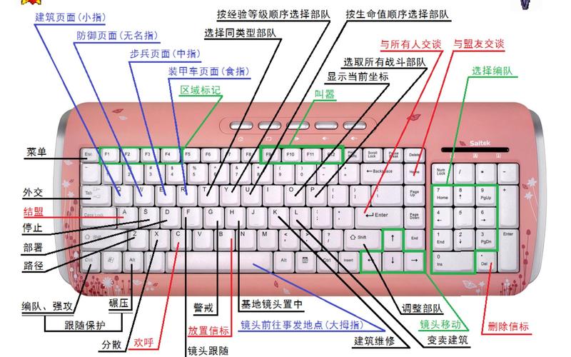 红警2怎么和电脑结盟？新手玩家快速结盟技巧详解