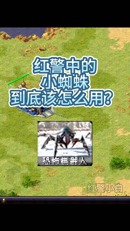 红警2蜘蛛属性详解：攻击力、防御力深度剖析