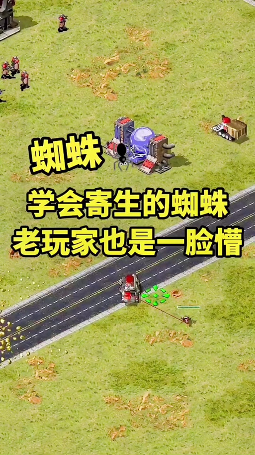红警2蜘蛛属性详解：攻击力、防御力深度剖析