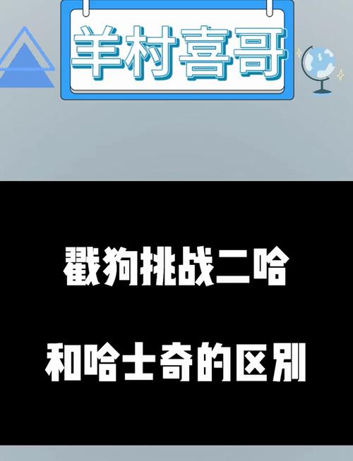 红警2哈士奇大战：沙场点兵，二哈称王！