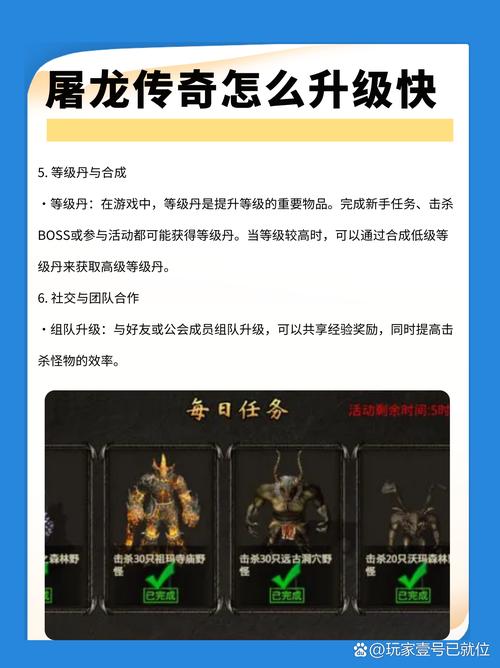 龙将升级攻略：从新手到高手，快速升级的详细步骤