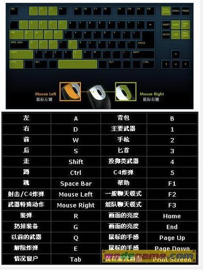 穿越火线攻略秘籍：快速提升游戏水平的实用指南