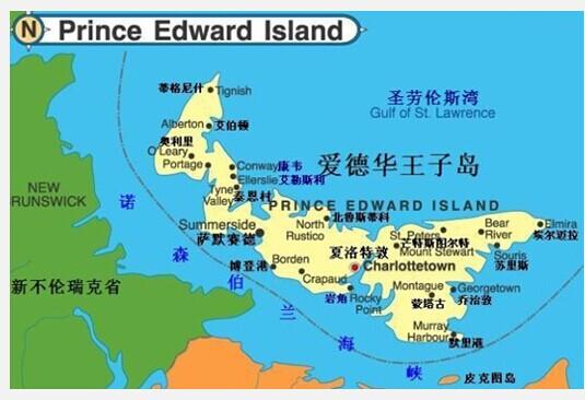 郊区王子游戏攻略：高效通关秘诀，成就你的王子之路