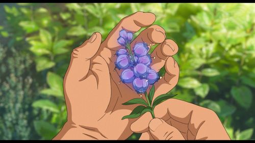 花之魔女最新版本免费畅玩：精美画面刺激战斗