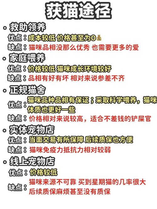 邻家女孩0.2下载攻略：避坑指南+安全下载渠道