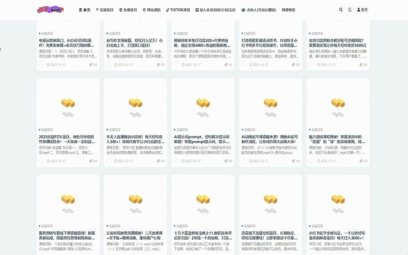 最后的圣女游戏下载教程：小白也能轻松上手