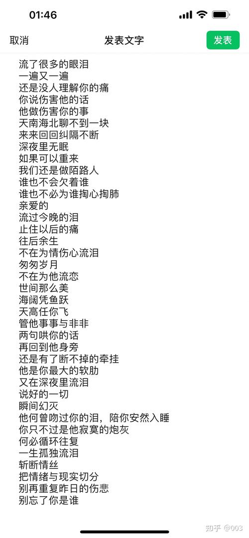 还在找孤独的陌生人下载？这里有你想要的
