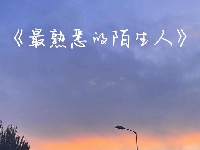 还在找孤独的陌生人下载？这里有你想要的