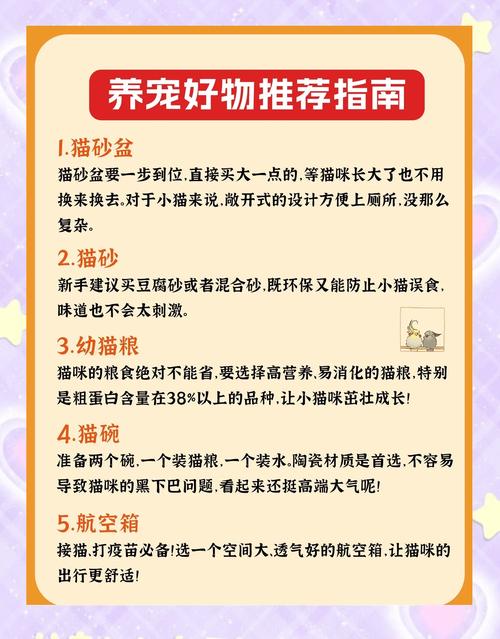 超详细野猫游戏攻略：通关秘籍分享