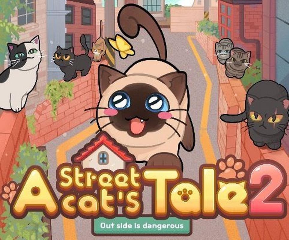 超详细野猫游戏攻略：通关秘籍分享