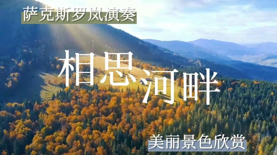 爱相思更新地址在哪？快速找到最新歌曲资源