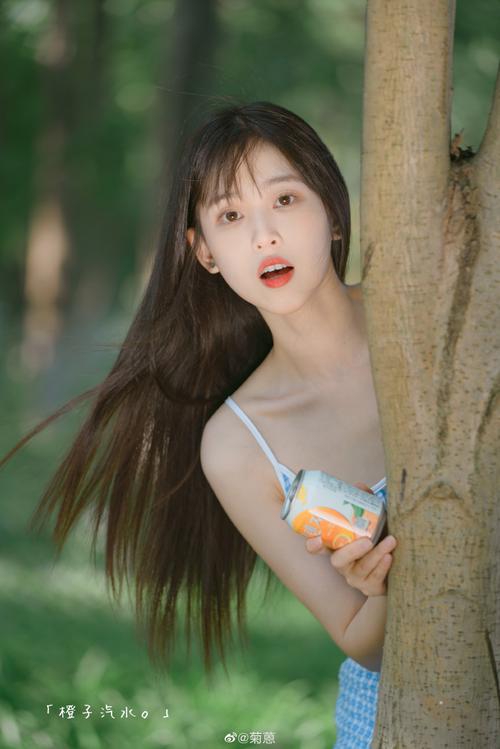 菊玩少女版本大全：新手玩家必看版本选择指南