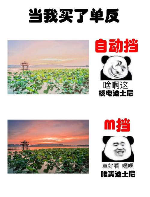 M上攻略合集下载方法大全：快速上手秘籍