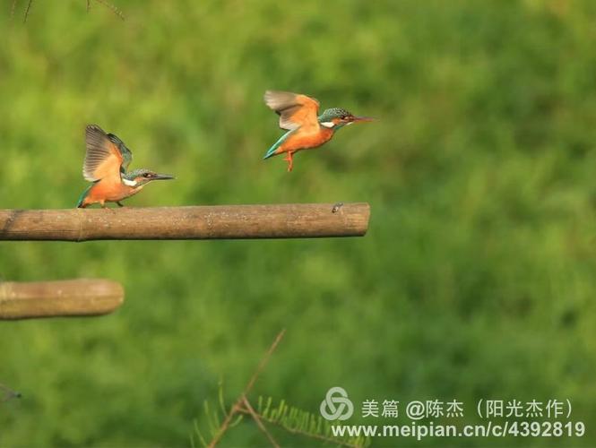 激情公园最新版本更新：新增内容抢先看