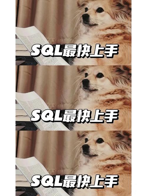 急求猫研社更新地址！老玩家带你快速上手