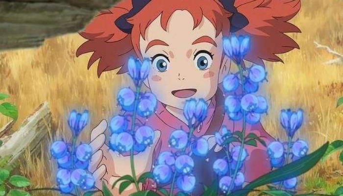 花之魔女版本大全：寻找你最爱的花之魔女版本