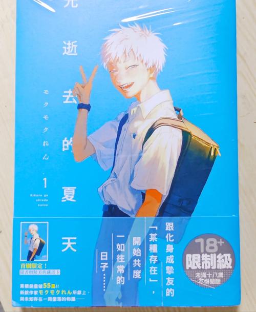 逝去的夏天游戏介绍：怀旧音游带你重温夏日回忆