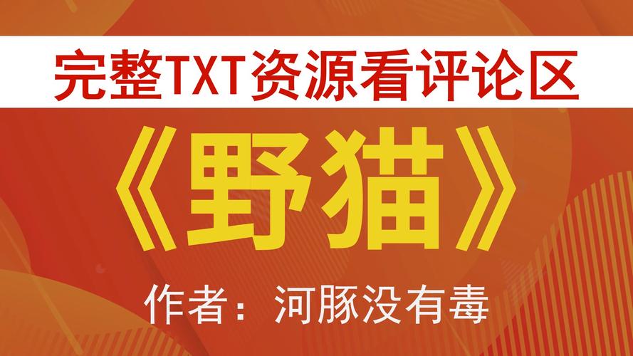 深度解析野猫最新版本：全面提升用户体验