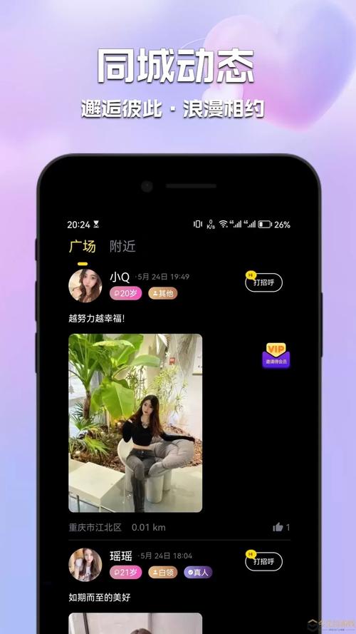深度解析野猫最新版本：全面提升用户体验