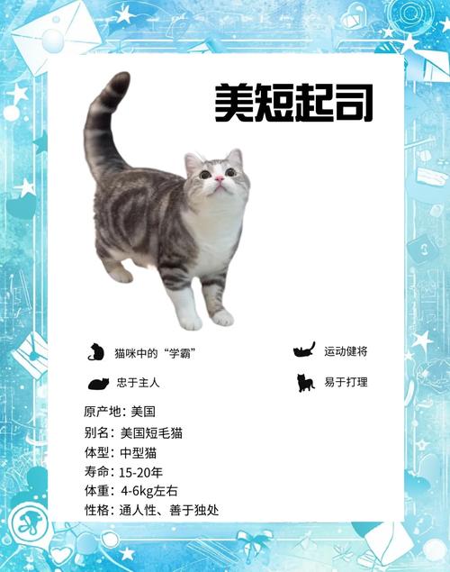 当你的猫咪游戏攻略：解锁全部猫咪品种