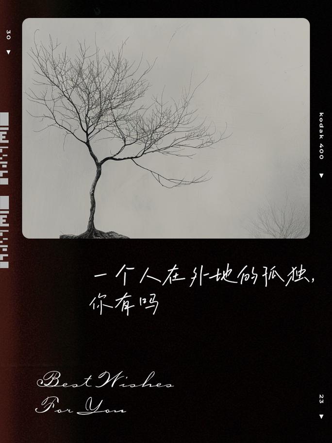 孤独的陌生人：收录所有版本，带你体验孤独的意境