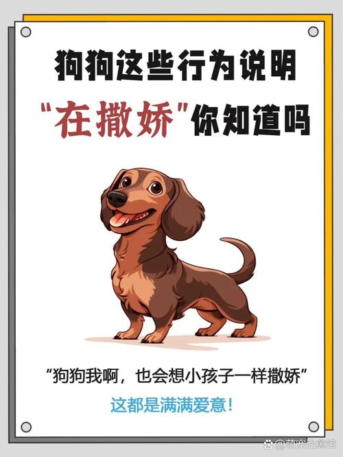 寻找人狗情未了？这里有你想要的全部版本资源