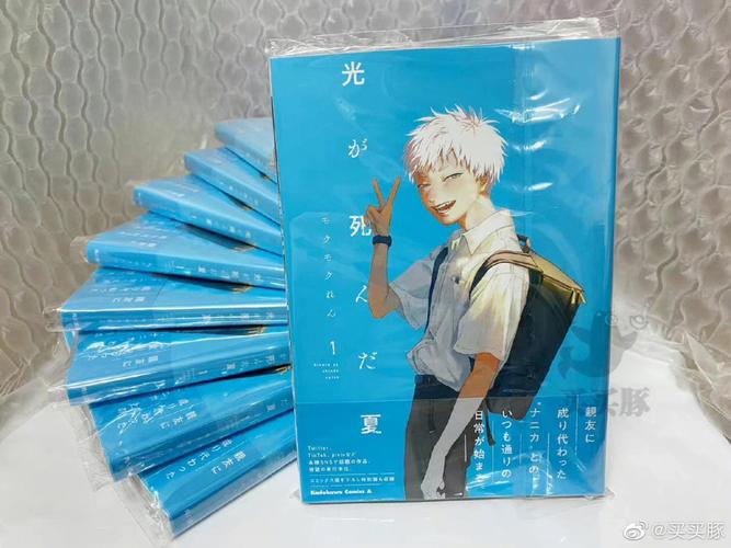 逝去的夏天游戏攻略大全：新手快速上手技巧