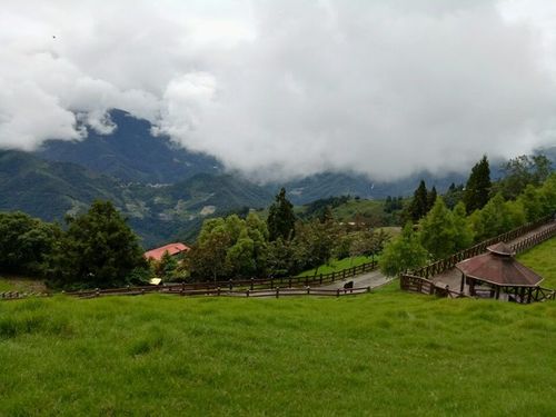 寻找青青草原下载地址？这里有你想要的版本