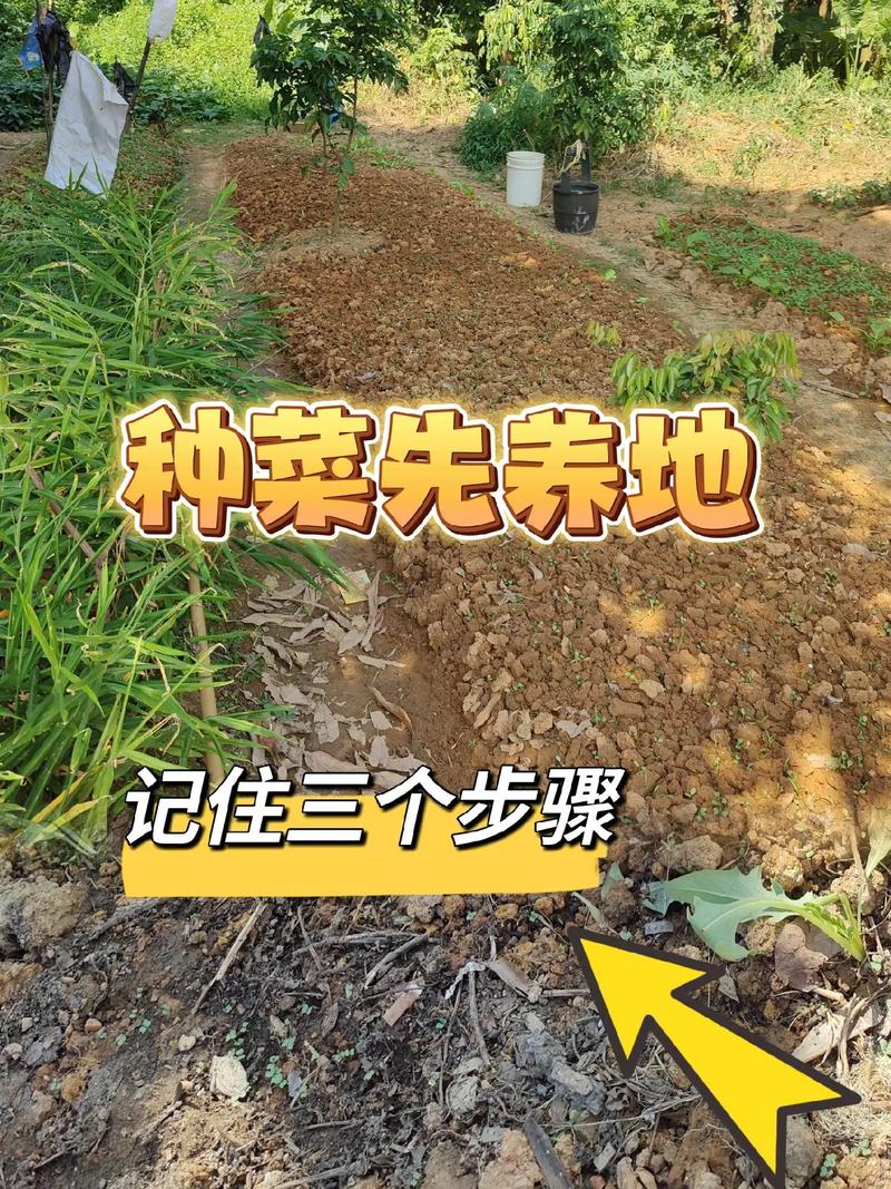 如何下载我的播种农场？简单几步轻松搞定！