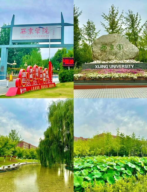 西景学院下载地址大全：不同版本下载方式