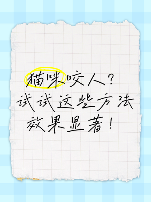 想下载SOB欧替合集？试试这些简单方法