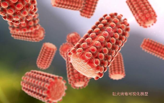 还在找最后的亢奋下载地址？这里分享靠谱资源，避免病毒风险