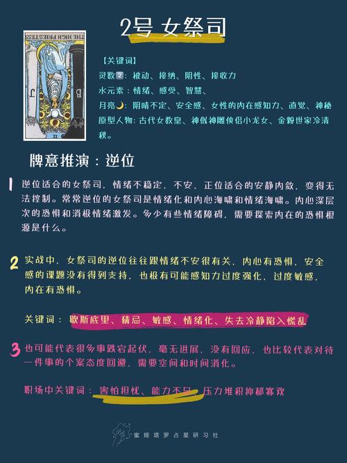 女祭司杨过游戏攻略大全：快速上手技巧