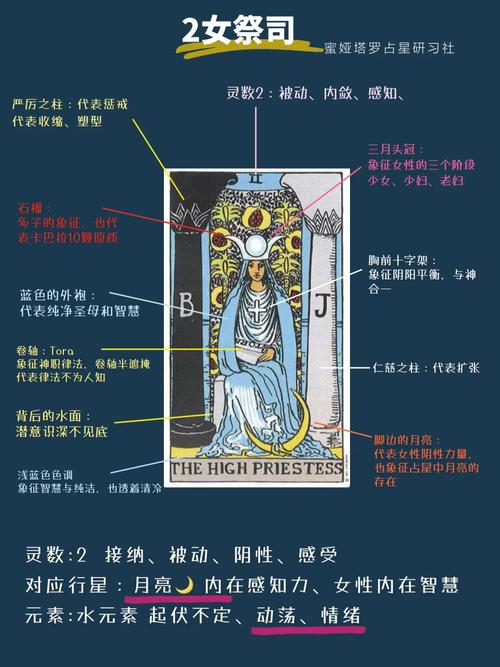 女祭司杨过游戏攻略大全：快速上手技巧