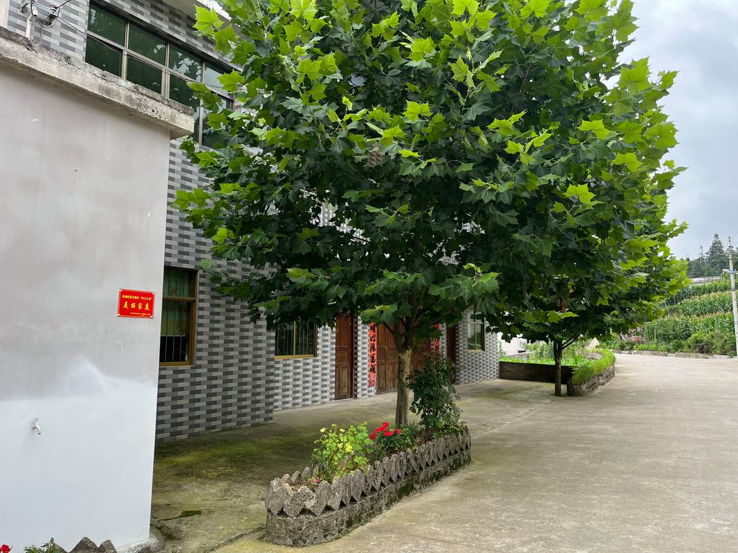 贵州麻江谷硐镇：探秘美丽的山水田园风光