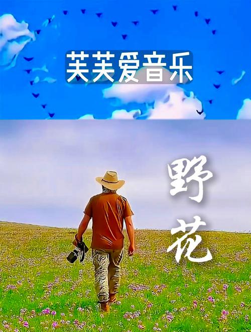 野花论坛社区：海量资源，更新速度快