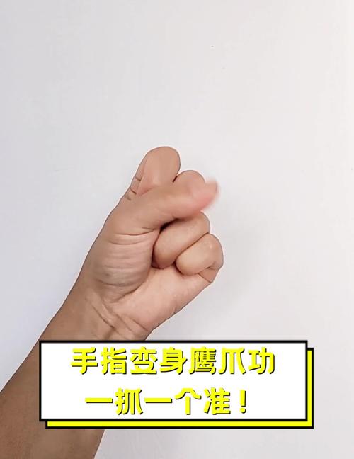 轻松掌握鹰击长空操作：新手必看入门指南