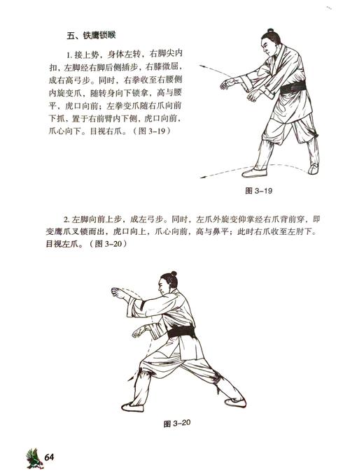 轻松掌握鹰击长空操作：新手必看入门指南