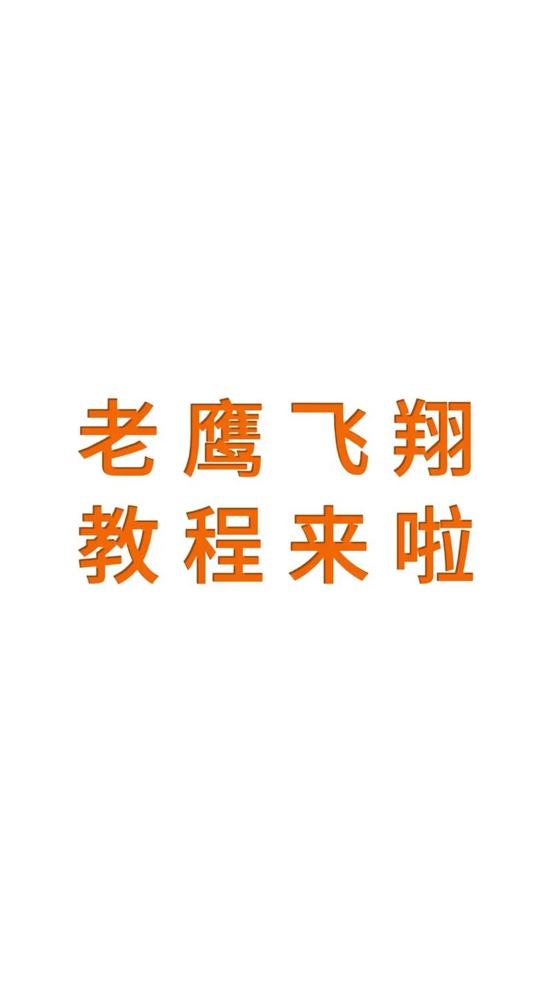 轻松掌握鹰击长空操作：新手必看入门指南