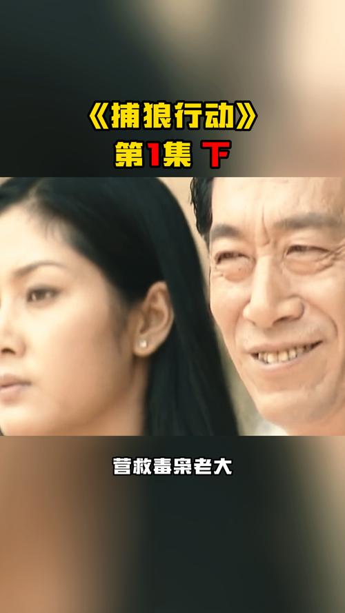 行动代号捕狼：揭秘抗战时期惊天秘密