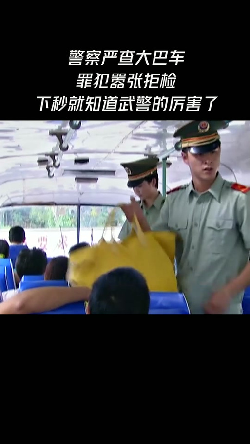 行动代号捕狼：揭秘抗战时期惊天秘密