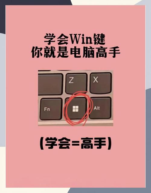 Winnap是什么？全面解析Winnap功能及优势