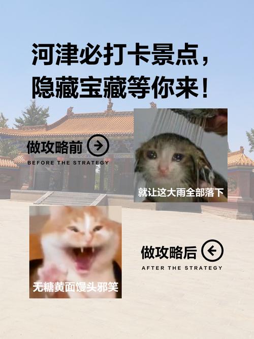 胆战心惊！被诅咒的宝藏等你来挑战