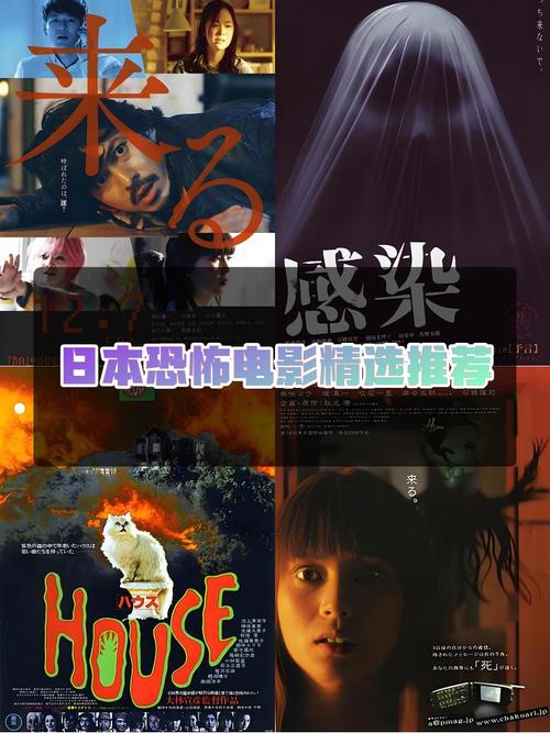 胆战心惊！被诅咒的宝藏等你来挑战