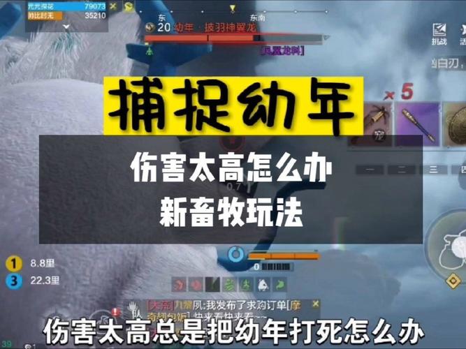 妄想山海犀牛刷新点及寻找技巧，快速捕捉犀牛