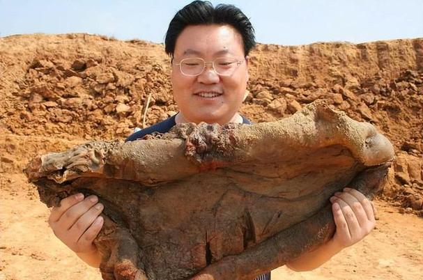 四十一斤太岁是啥？揭秘神秘生物的真面目！