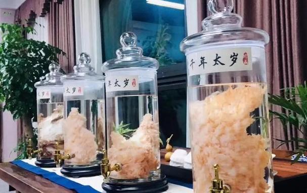 四十一斤太岁是啥？揭秘神秘生物的真面目！