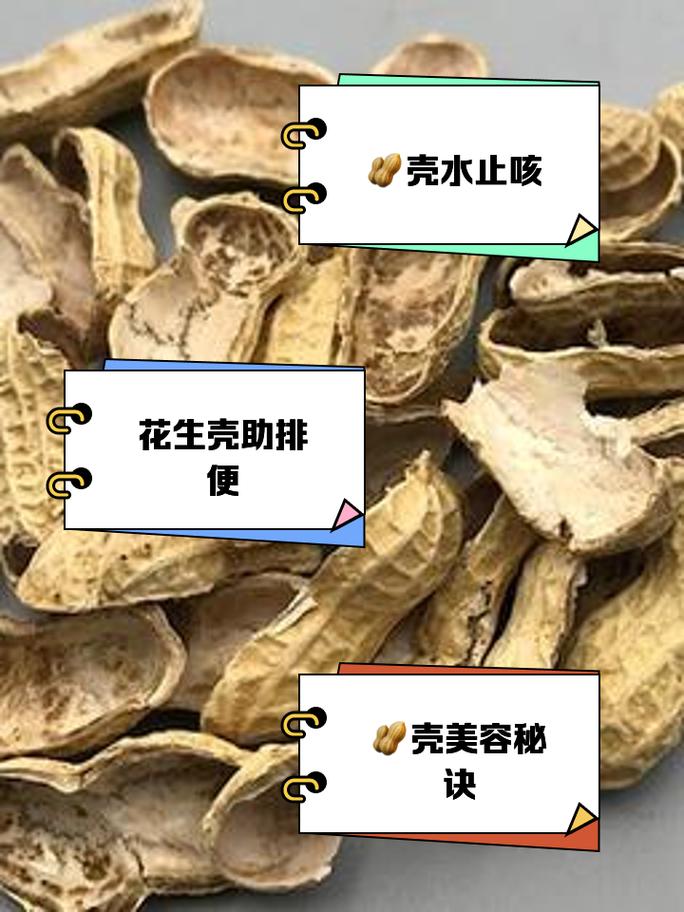 花生壳客户端下载及功能介绍：简单易用