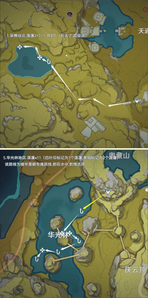 原神莲蓬分布图及采集点一览